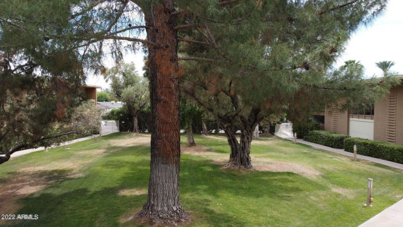 gustufson 21 ranch realty scottsdale, AZ