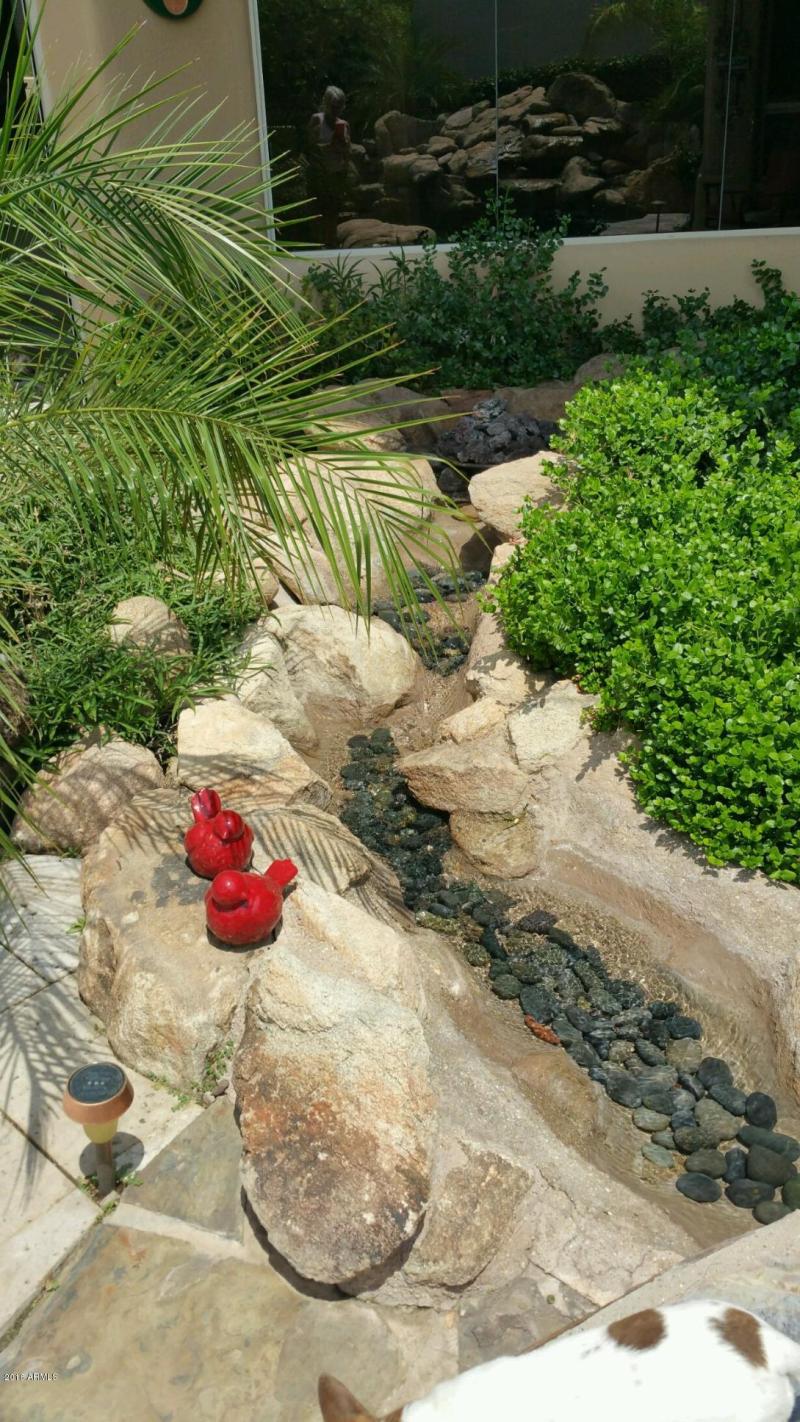 THE CREEK