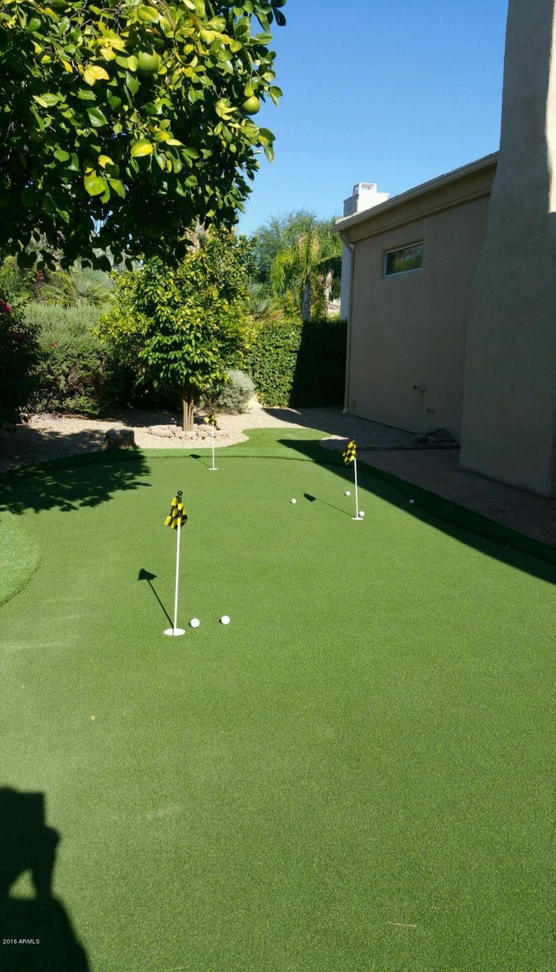 BACK YARD UPGRADED CHIPPING GREEN
