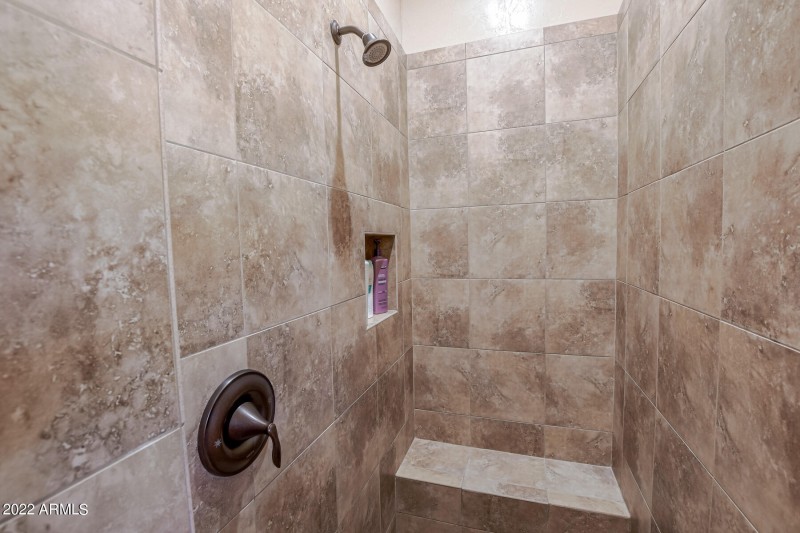 Lower Level Owners Shower