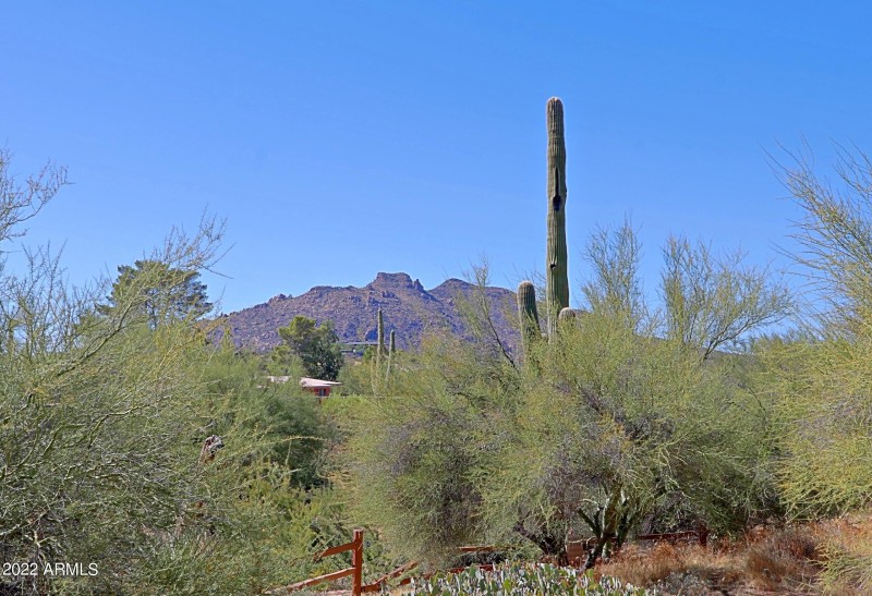 View from Parking Lot