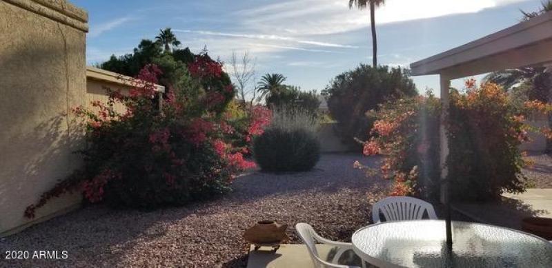 Backyard-9647 E Palomino Pl