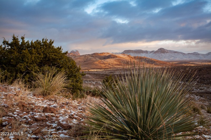 Winter dusting of snow