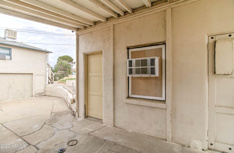 877 E Sycamore Tweety Bird-1