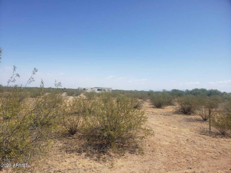 Lot 3
