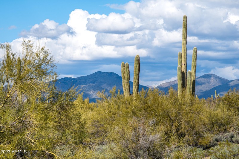 Lot 125 at 8614 E Artisan Pass -14