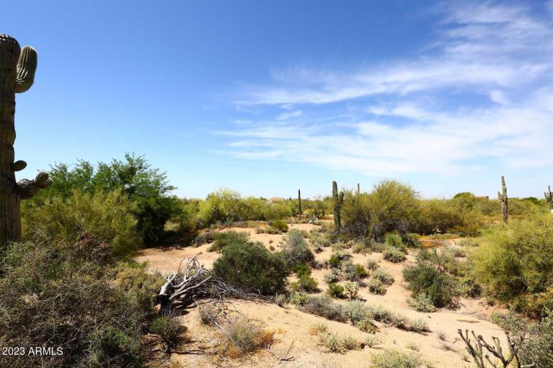 Open Space behind Home3