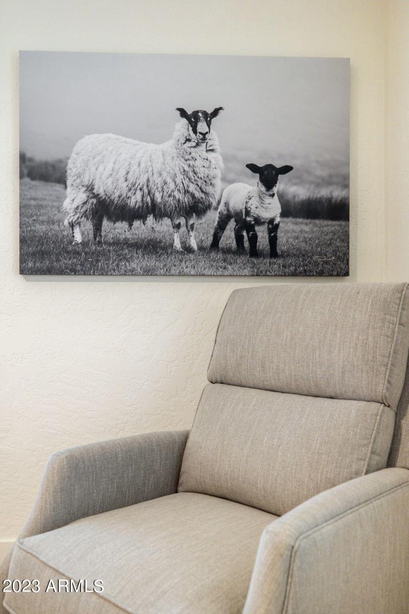 48-web-or-mls-4909-e-tumbleweed-cir