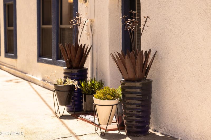 Shane Baker Studios Solo (22 of 24)