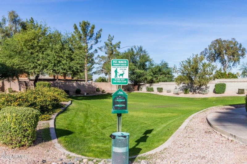 0004-McKellips - 5415 (6)