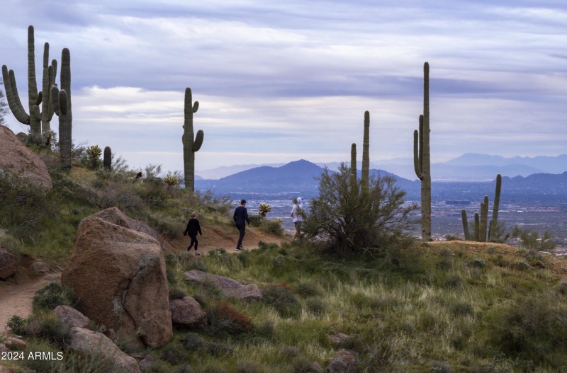 Awesome Hiking Nearby