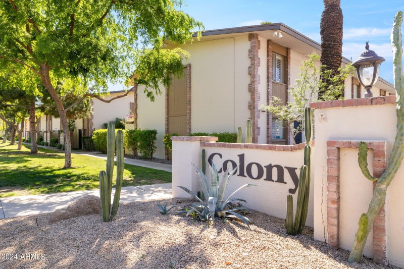 Colony Camelback