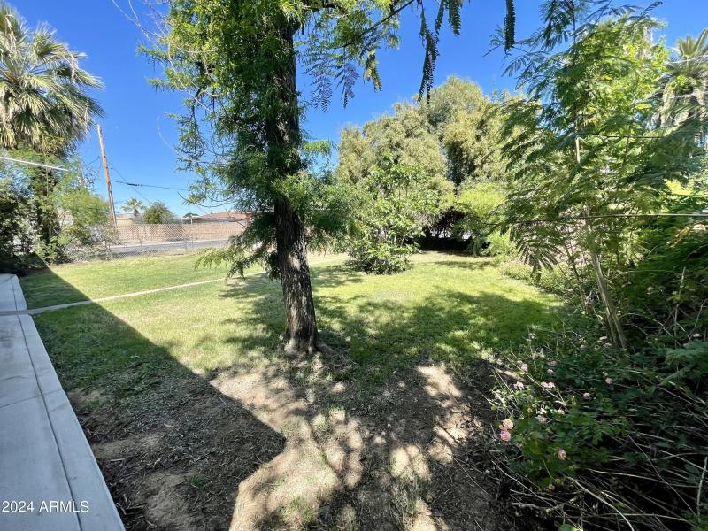 Lots of vegetation
