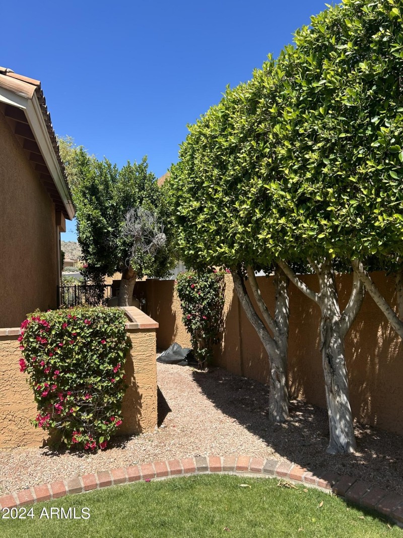 E1617AC0-66BC-4279-86FA-1283B17DBD29