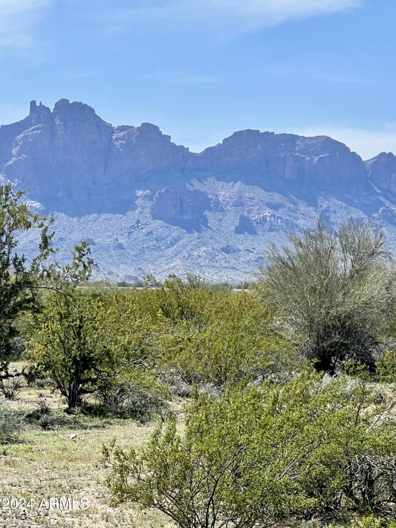 Photo Mar 13 2024, 1 55 47 PM