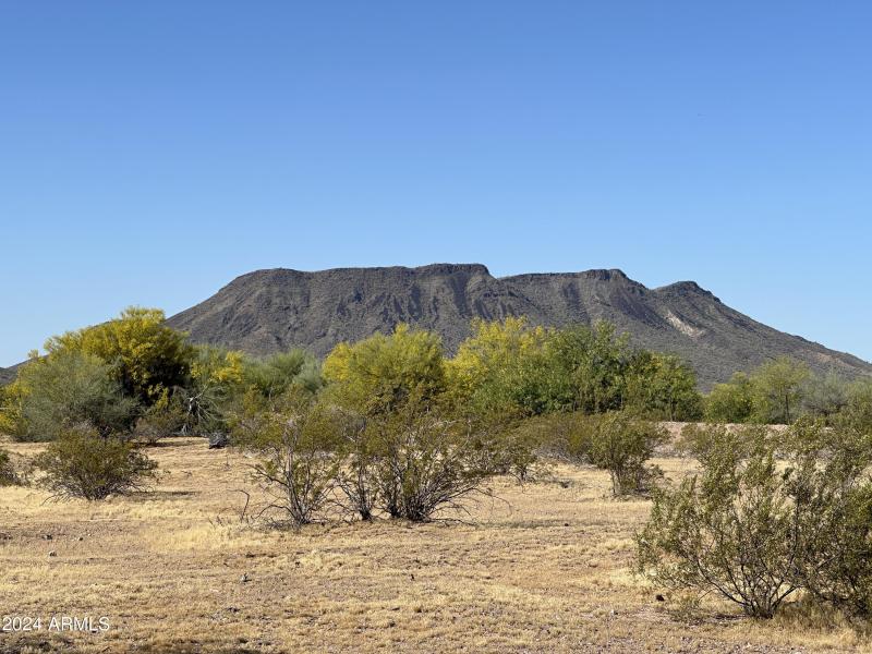 Photo Apr 26 2024, 8 36 57 AM