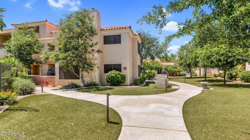 29-web-or-mls-P1053644