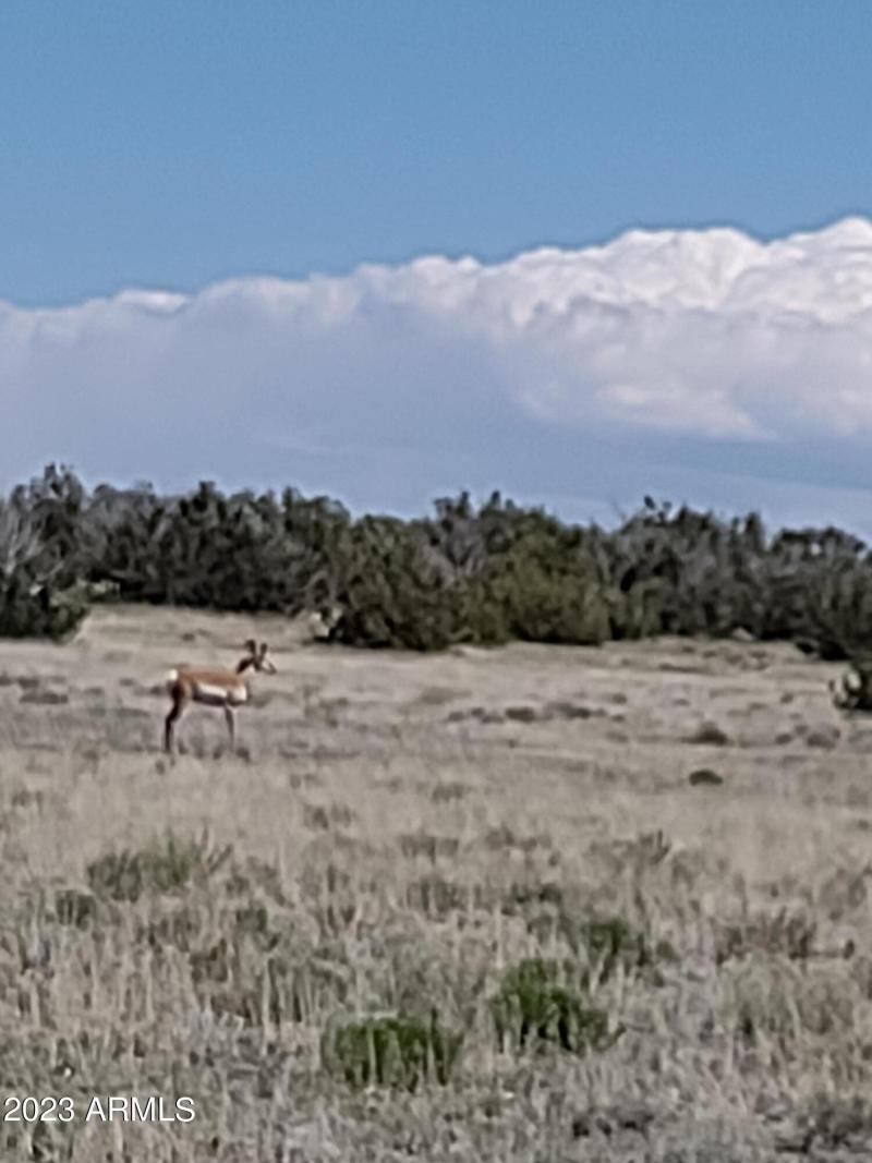 IMG_20230529_141230894