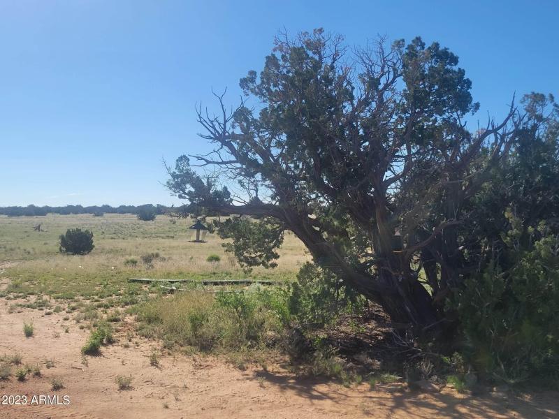 received_264205276161822