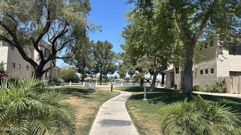 Lush Greenery And Walking Paths