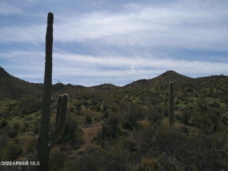 Castle Hot Springs 210