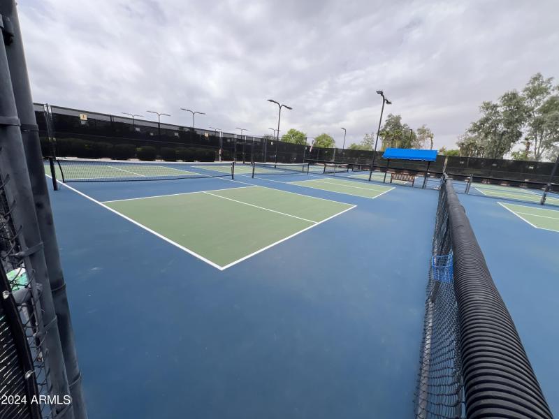 Pickleball Court