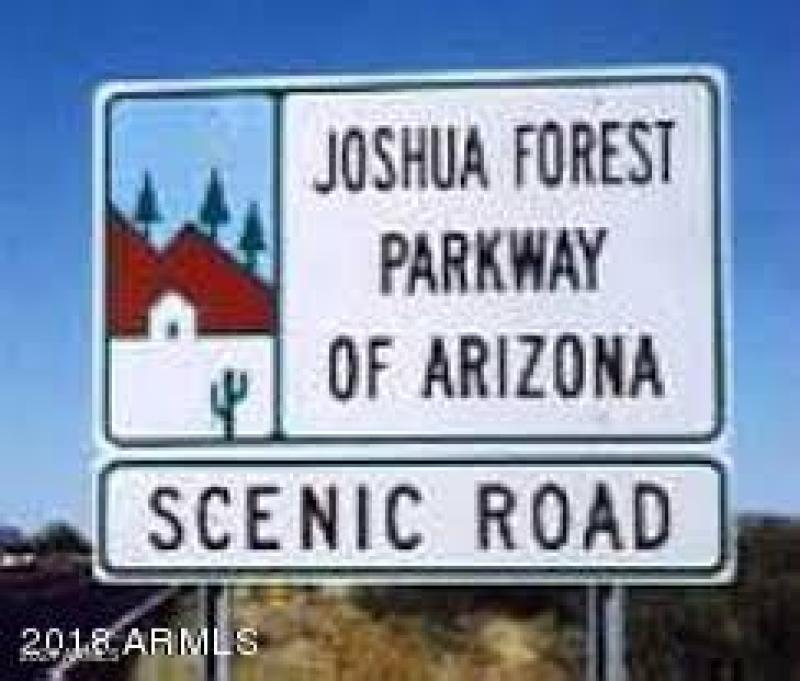 17909 S HWY 93 - JOSHUA FOREST PARKWAY