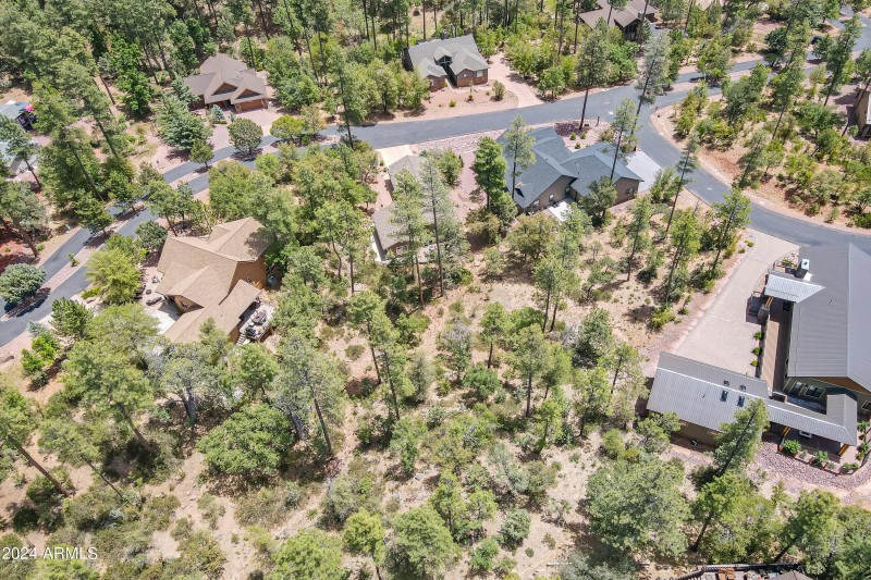 18-print-Forest-HD-18