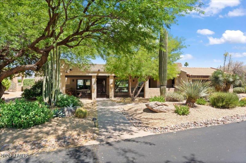 True Native Arizona Desert Landscaping