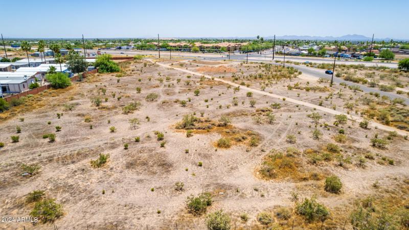 0009-09 - Royal Palm