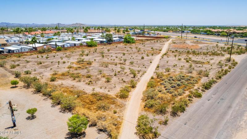 0012-12 - Royal Palm