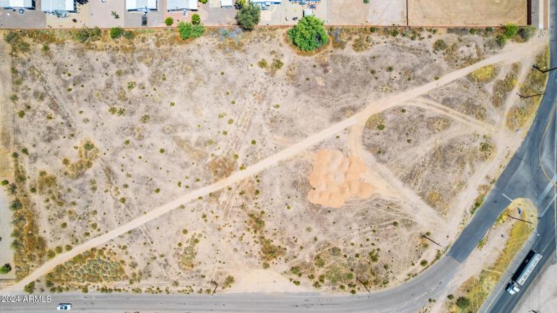 0013-13 - Royal Palm