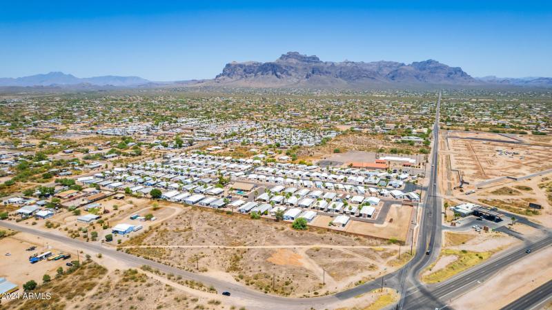 0014-14 - Royal Palm