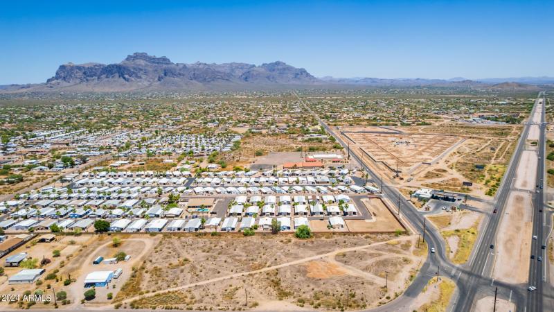 0015-15 - Royal Palm