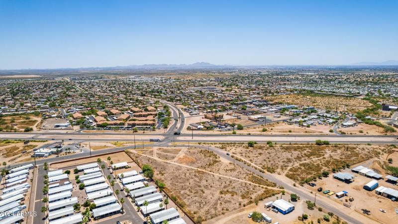 0017-17 - Royal Palm