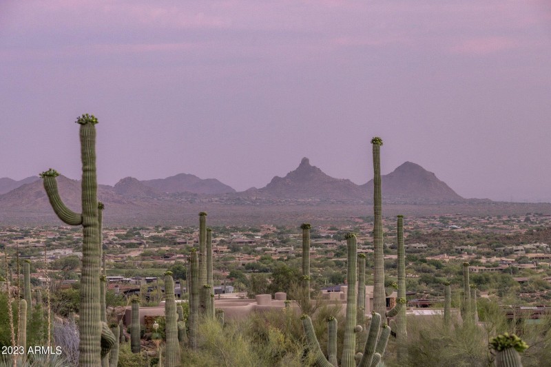 13-web-or-mls-D46A7000