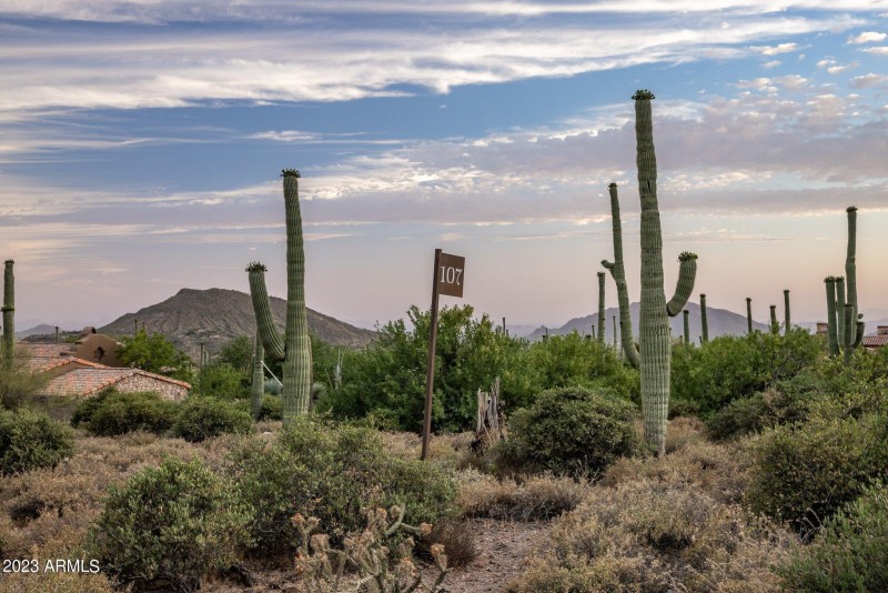 6-web-or-mls-D46A6923