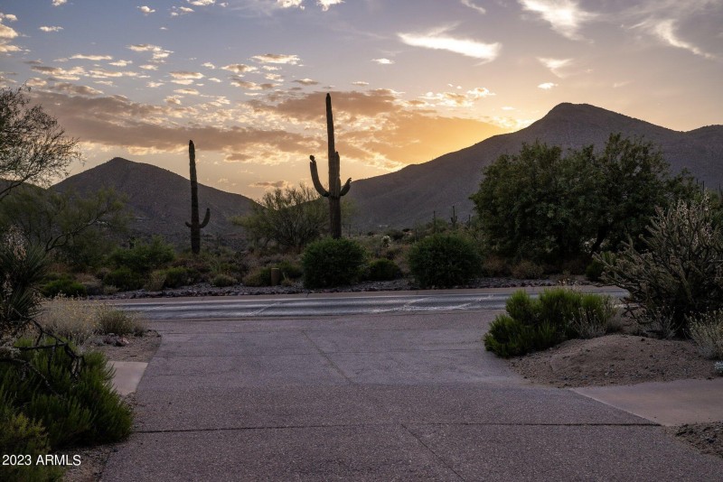 3-web-or-mls-D46A6902