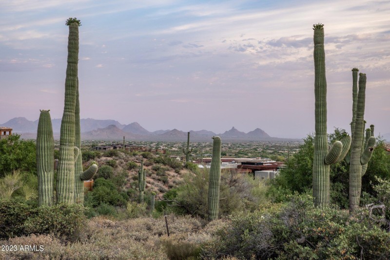 9-web-or-mls-D46A6962