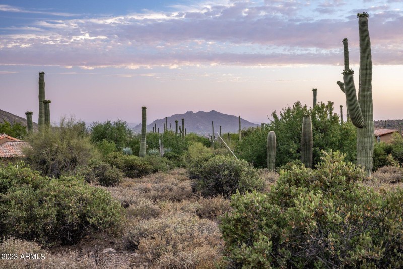 10-web-or-mls-D46A6969