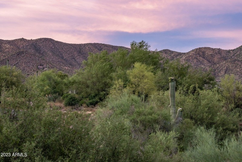 14-web-or-mls-D46A7007