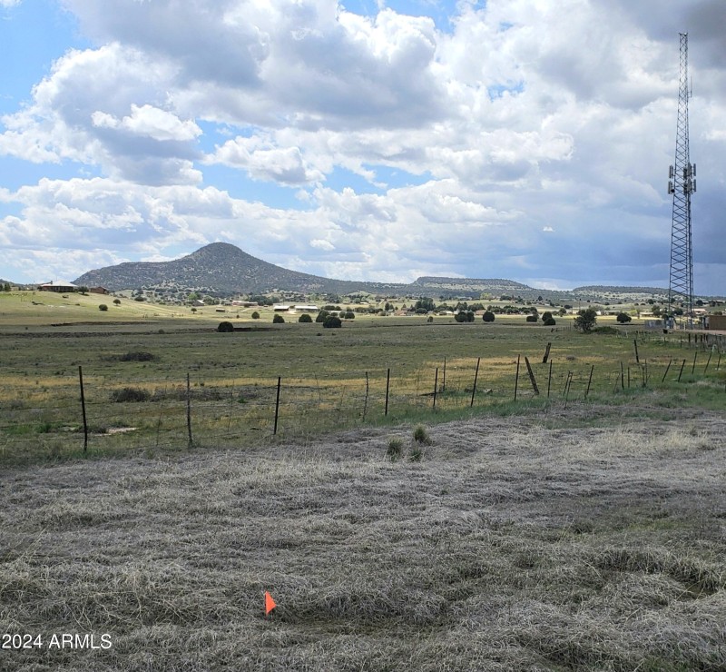 Hwy 288 14 Acres NE Corner