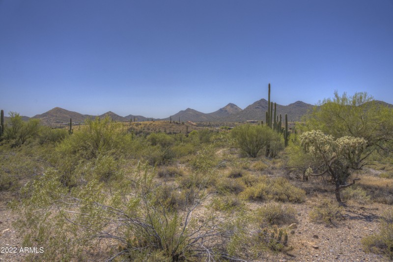 View From Your Patio