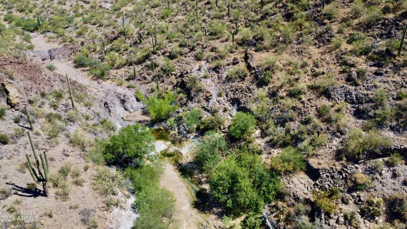 Favorites - 51 of 58