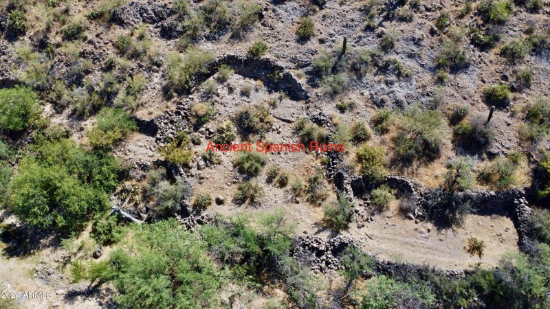 Favorites - 49 of 58