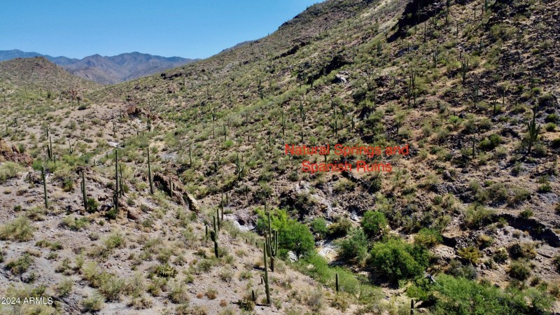 Favorites - 48 of 58