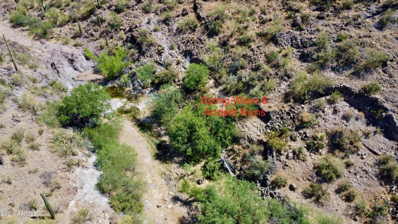 Favorites - 50 of 58