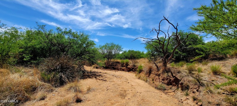 Lot 116 West Stetson Drive