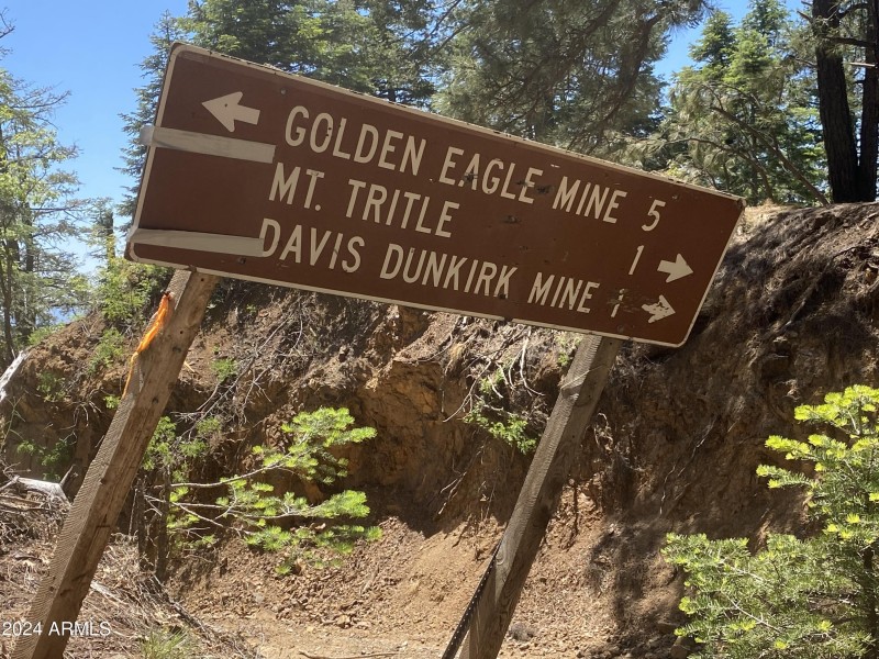 golden eagle sign