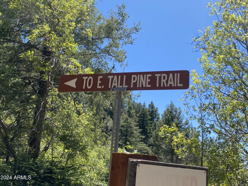 tall pine sign